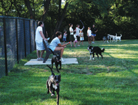 Oakwood Dog Park at Creager Field - Commemoration Ceremony - Oakwood, Ohio